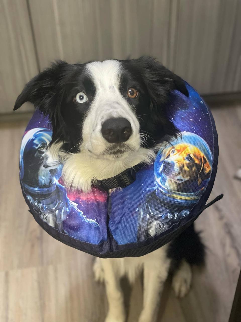 Blog list featured image