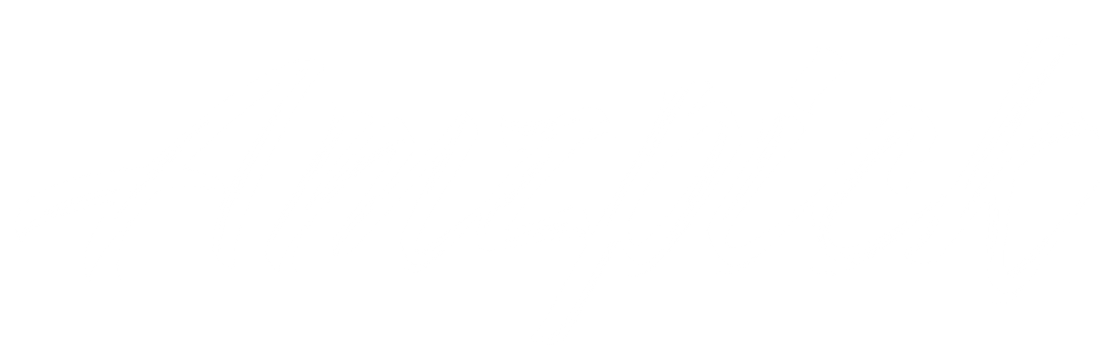 light logo